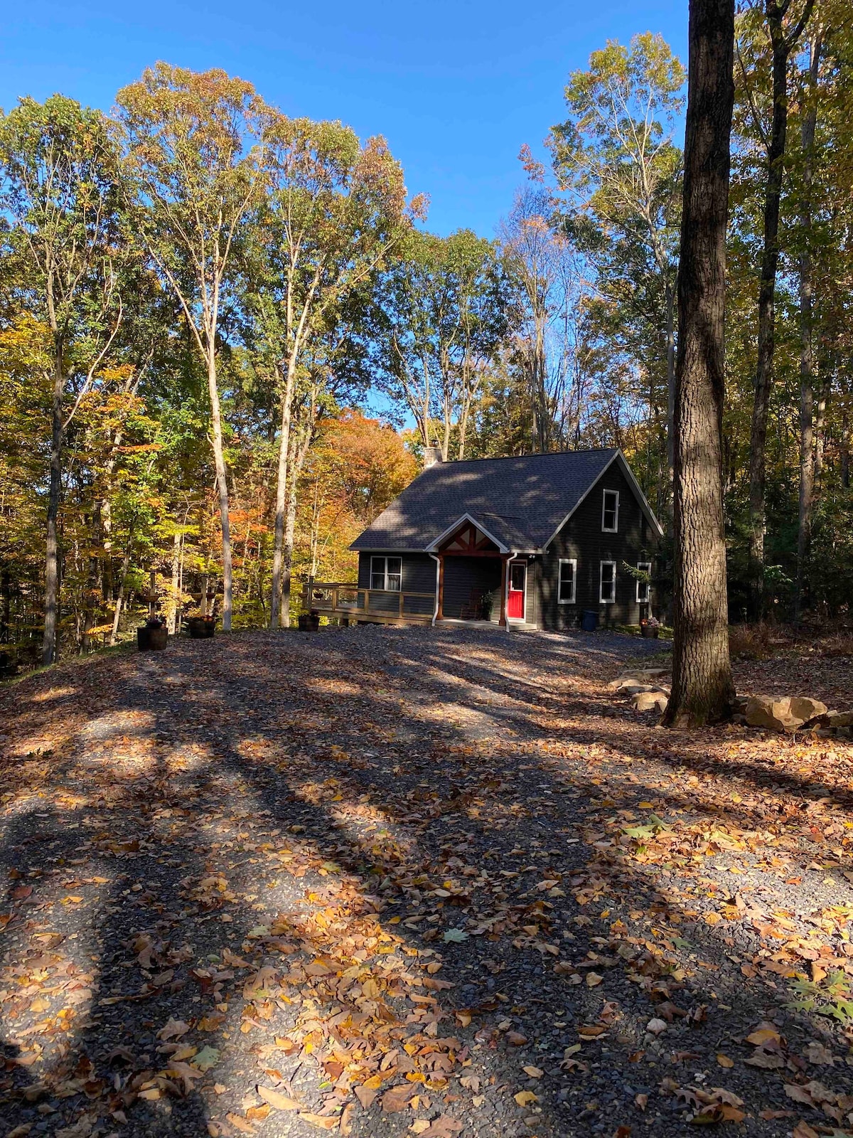 Forest Edge Cabin, secluded getaway. Pets welcome