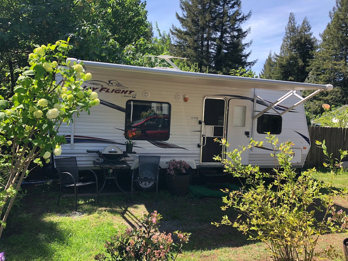 Amazing  23 ft trailer  in the heart of Redwoods