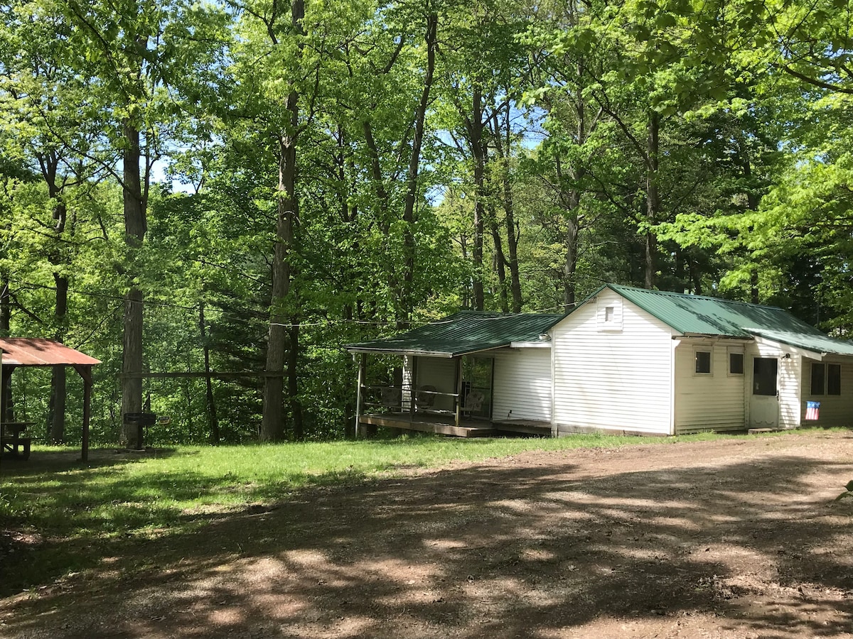 Piedmont Lake Ohio Cabin Rental