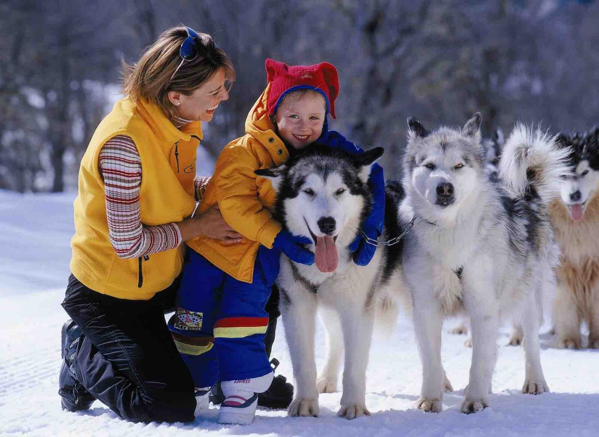 公寓距离NEVADOS CHILLÁN市中心仅几步之遥