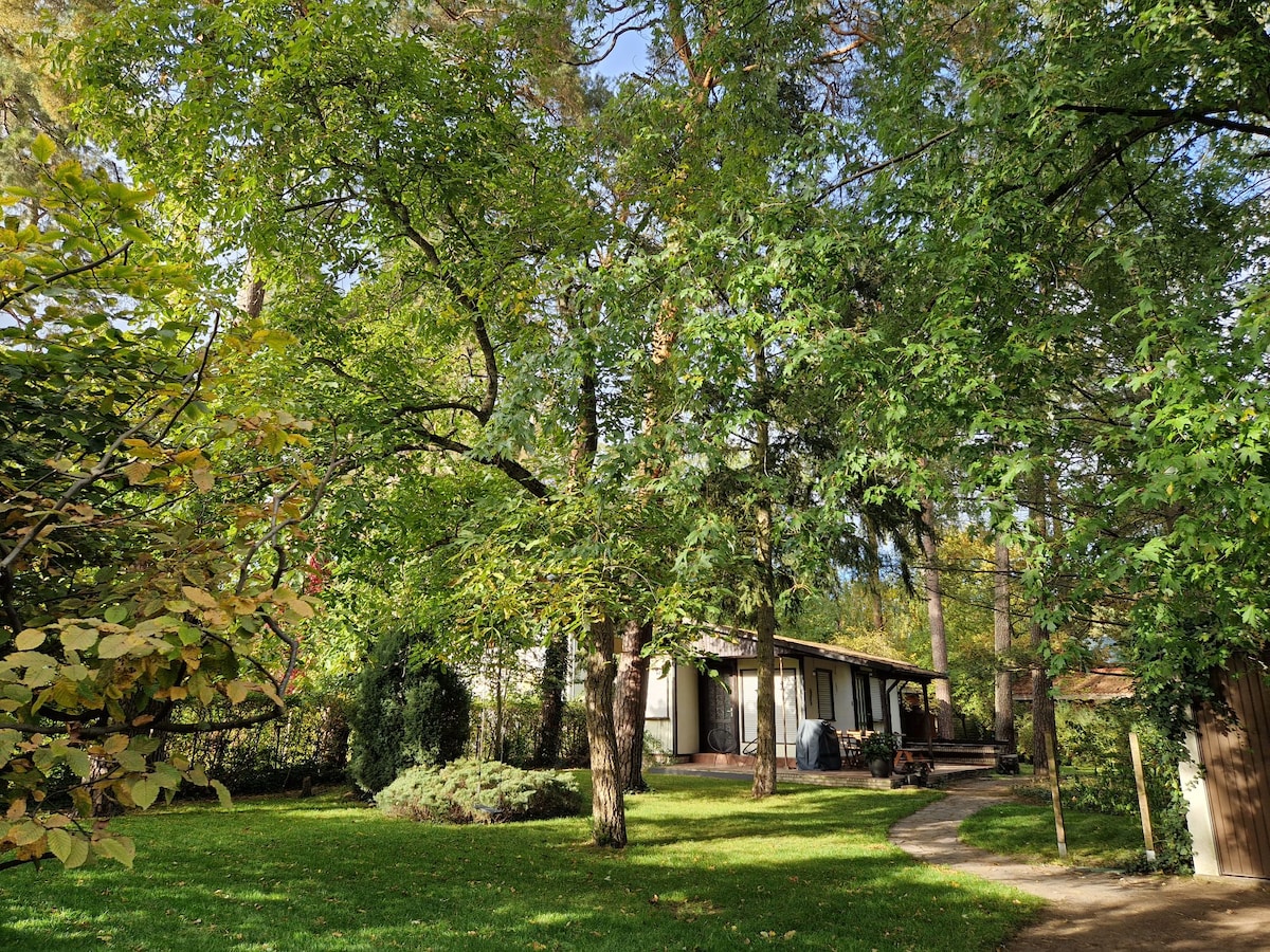 Datscha mit Garten in Wald- und Seenähe