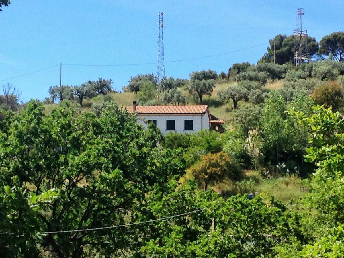 Le Tre Querce di Casa Mia, stanza del Mirto.