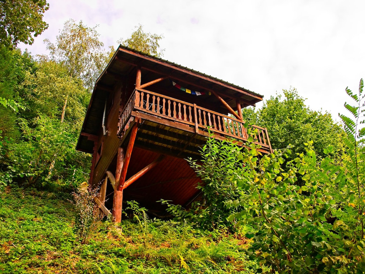 Péma度假木屋（ Chalet Péma ） ，位于贝尔松（ BELLONNE MASIF ）