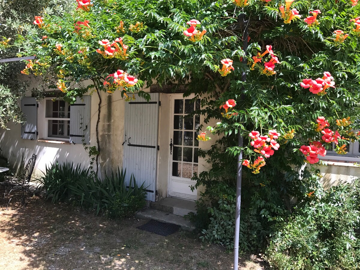 Le Mas de la Pousaraque - Camargue - Gîte Jalous