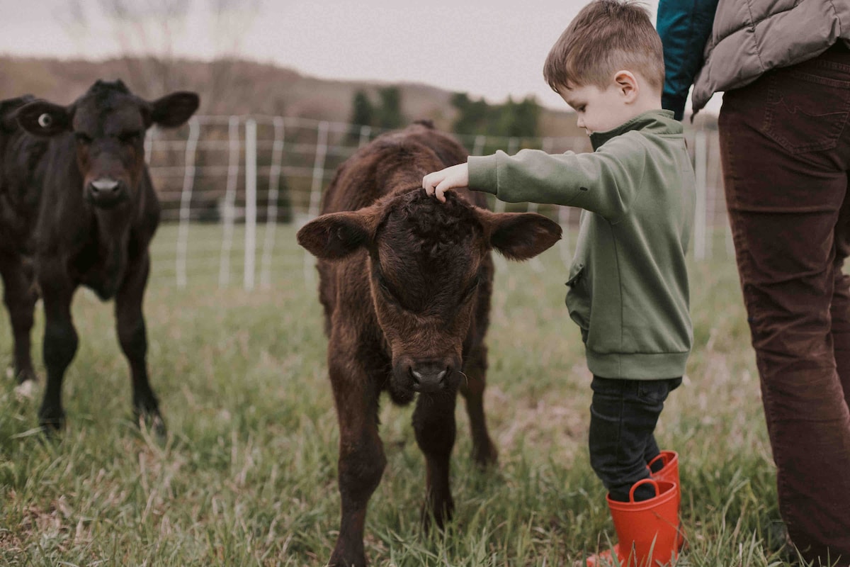 BuckWild Farm Stay