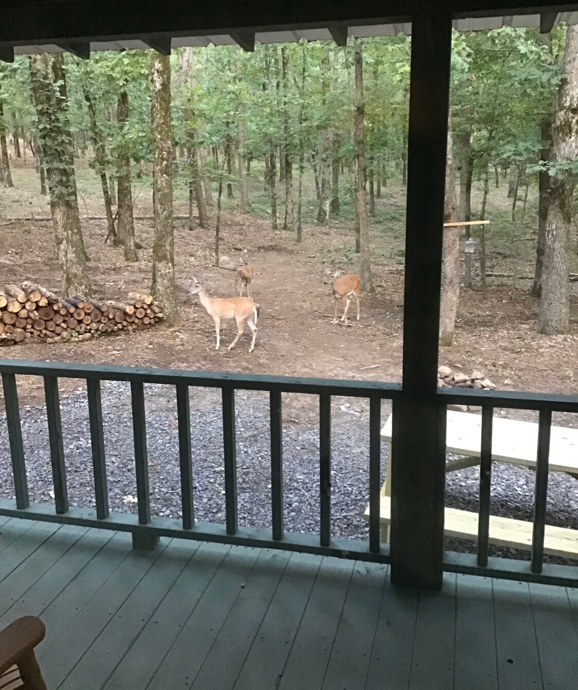 白鹰小屋