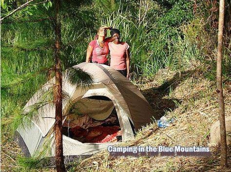 Guava Grove 6-person Tent Site