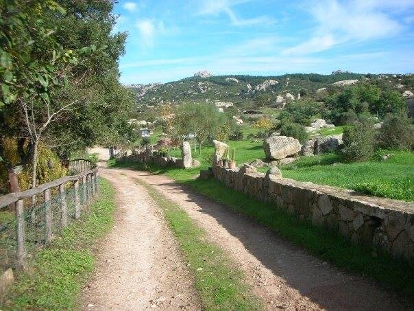 Agriturismo Pausania双人床，带阳光躺椅和浴室