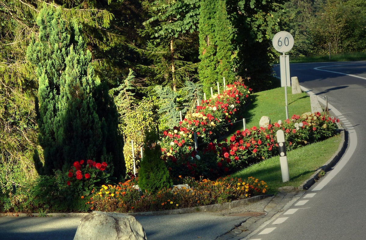 Burglauenen Interlaken, Grindelwald