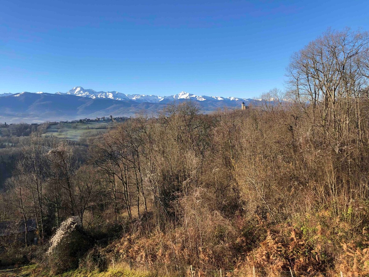 T2 n°12 vue magnifique sur les Pyrénées