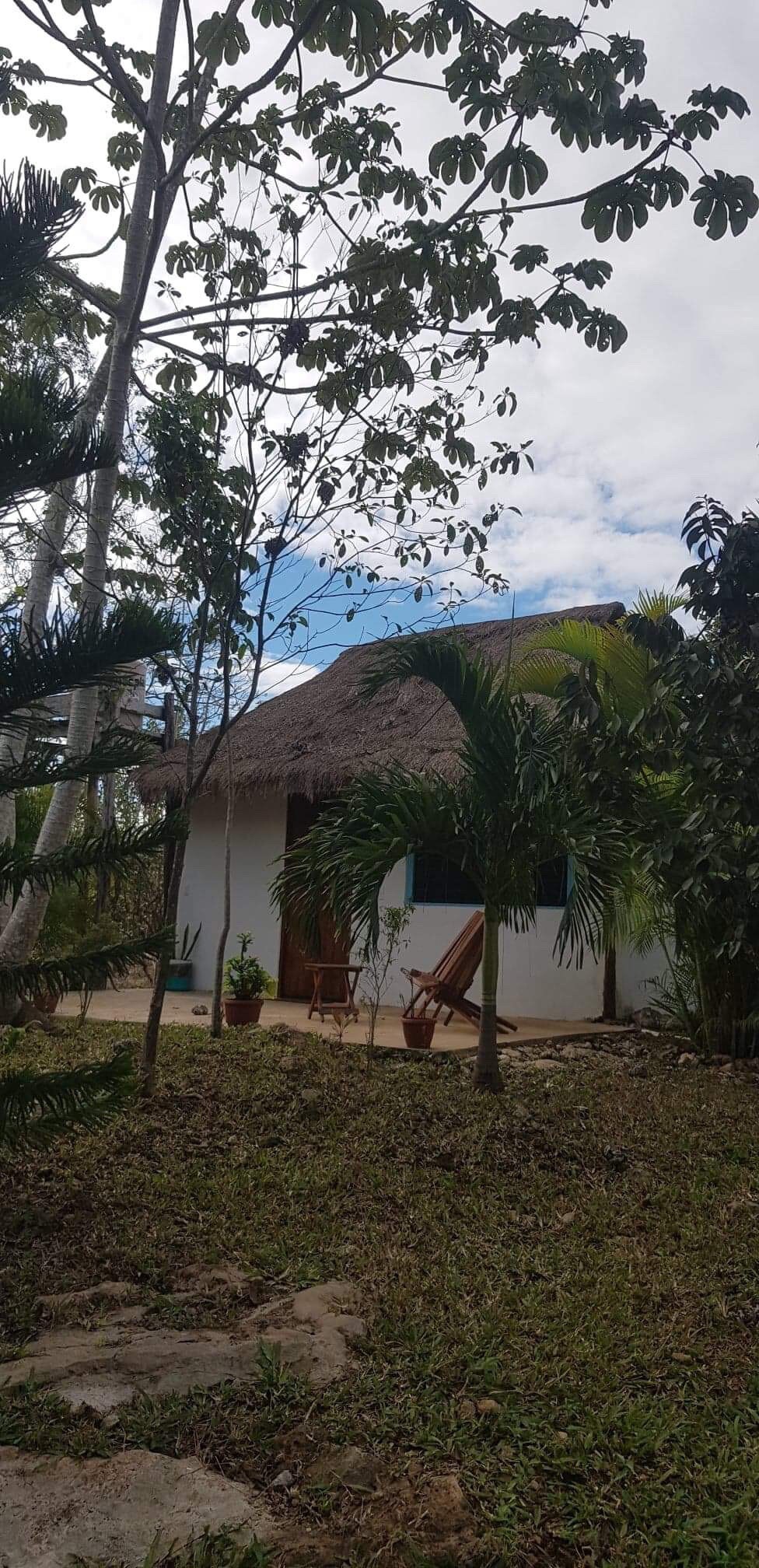 Casa luna un rêve exotique au cœur de la jungle