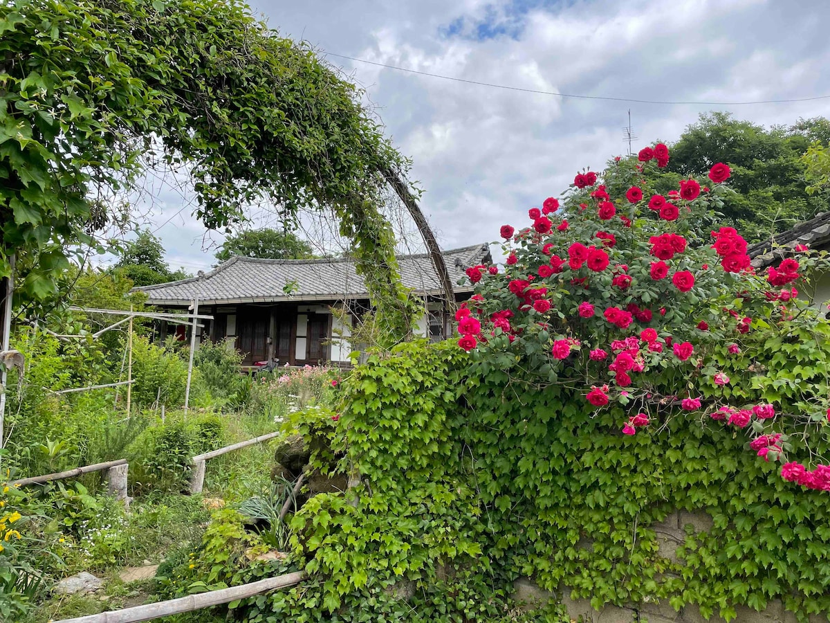 慢慢入住Kangjin Sosowon （ Vipasil ） ，这是一个古老的Namdo韩屋