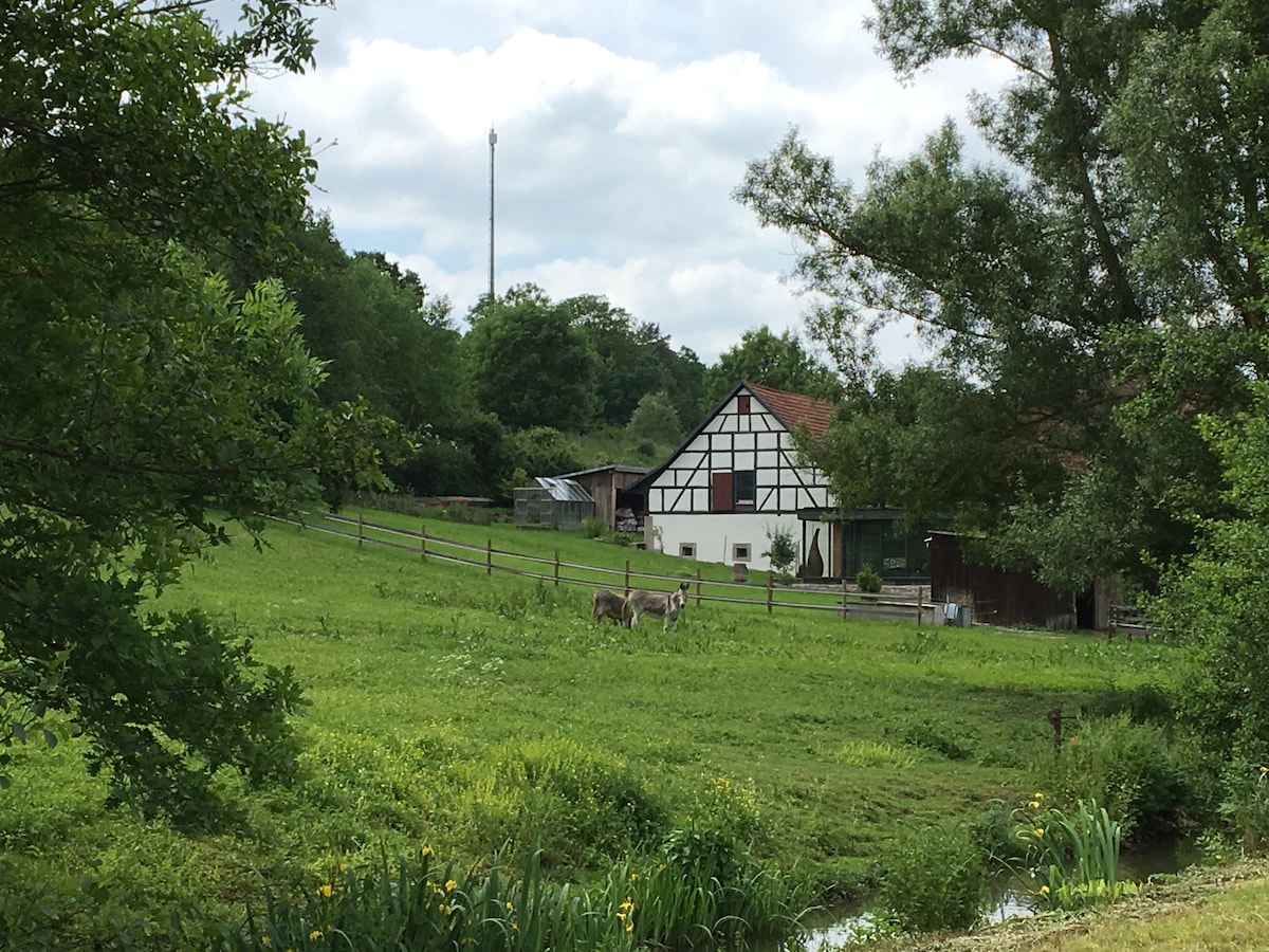 梅尔里希施塔特（ Mellrichstadt ）/米尔菲尔德（ Mühlfeld ）客房