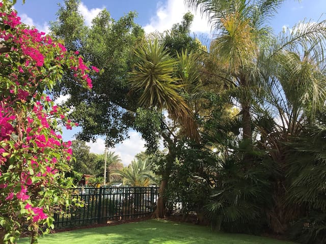 雷霍沃特(Rehovot)的民宿