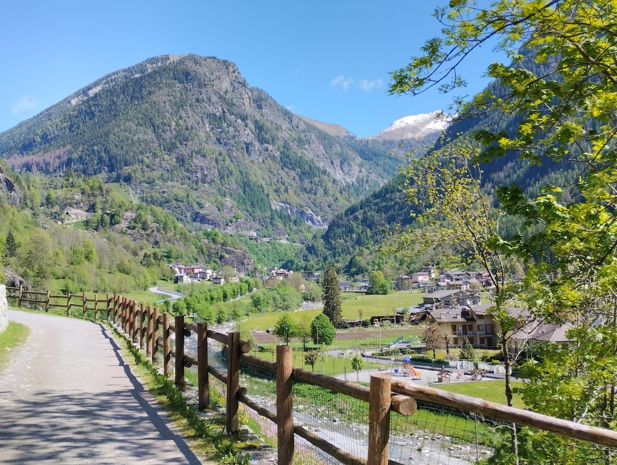 相隔两间客房。壮丽的山景