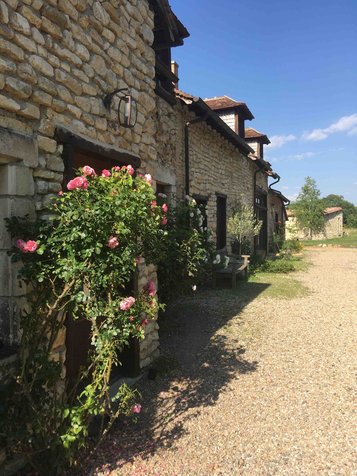 Les Estivaux ravissant gîte , parc 4ha piscine