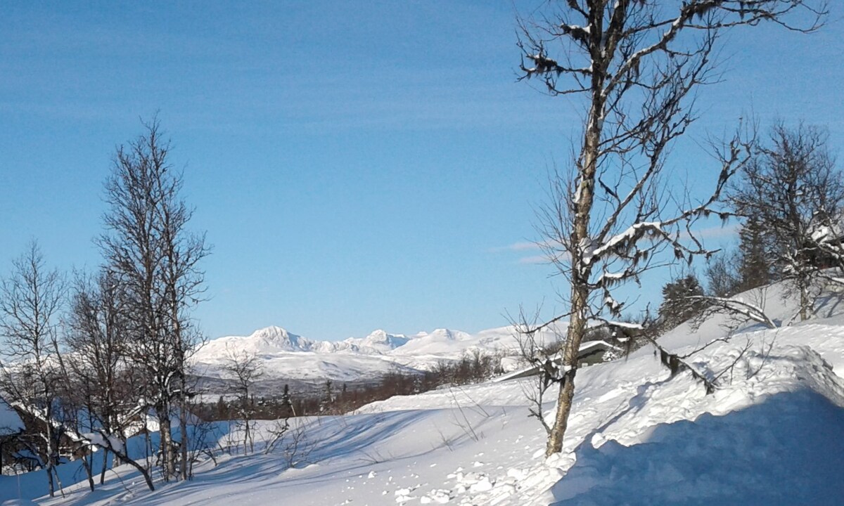 Modern mountain cabin-calm place- near Beitostølen