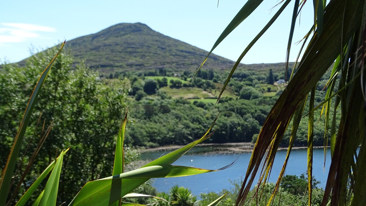 可俯瞰肯马尔湾（ Kenmare Bay ）的民宅