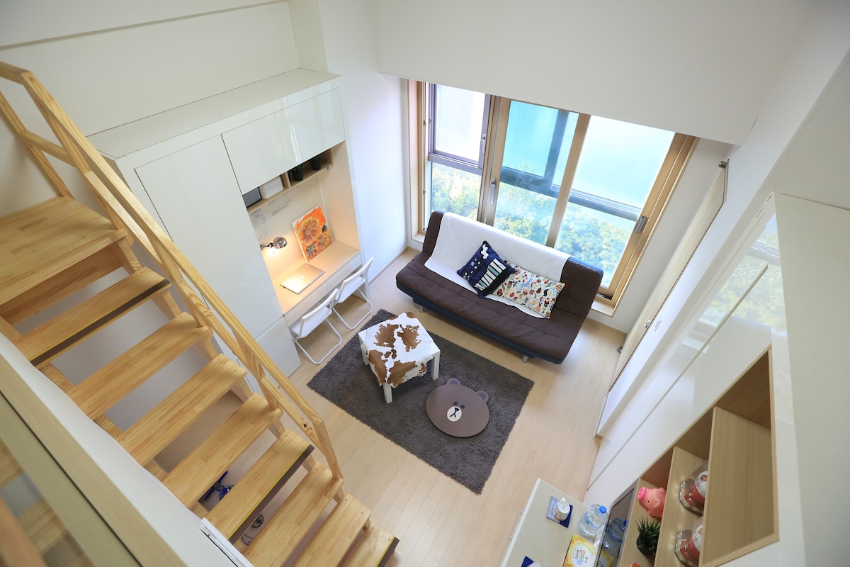乐天世界蚕室高级复式公寓 免费高速wifi Lotte World & Lake View Loft