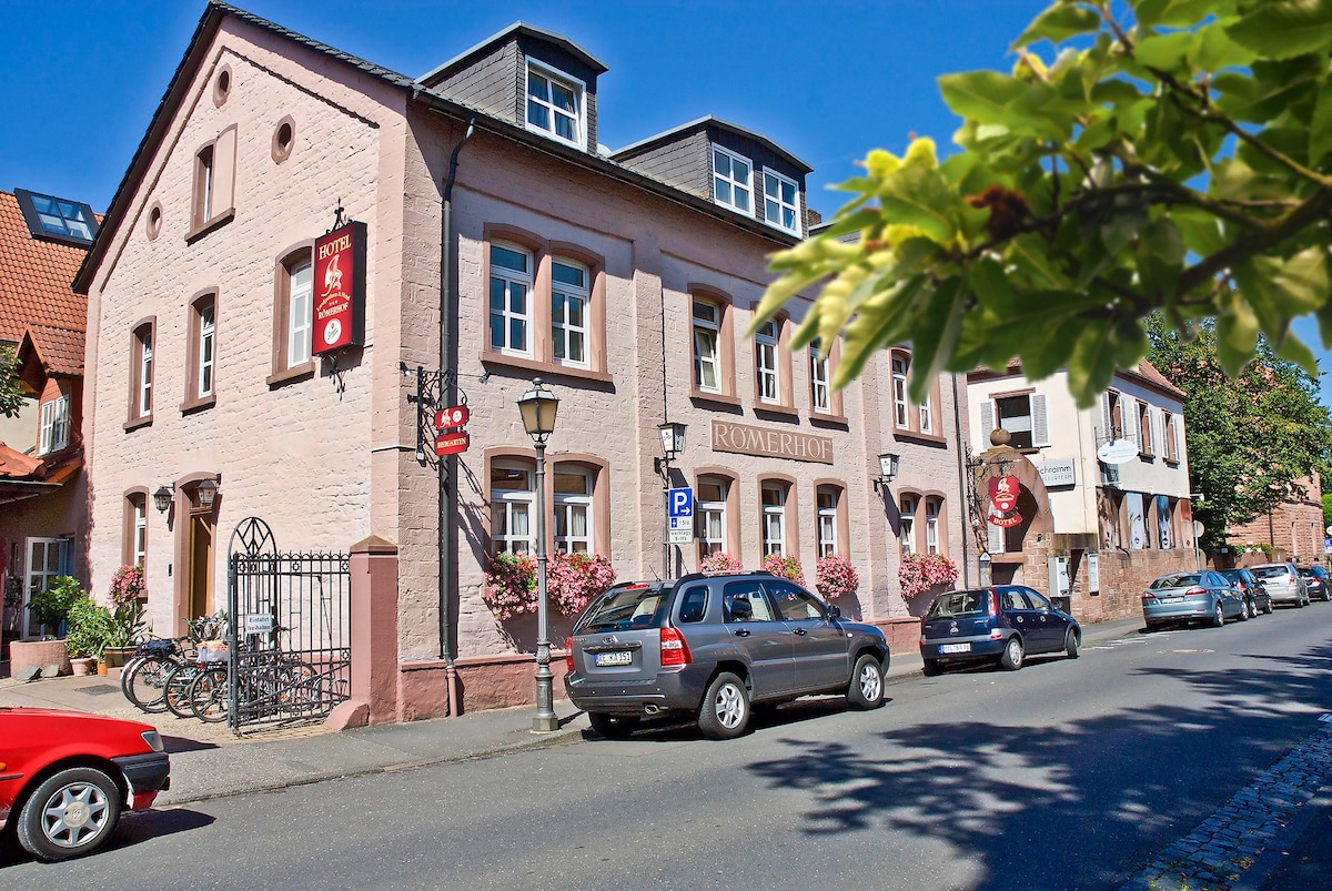 Landgasthaus Hotel Römerhof （ Obernburg/Main ） ，经济型单人客房，附带无线网络