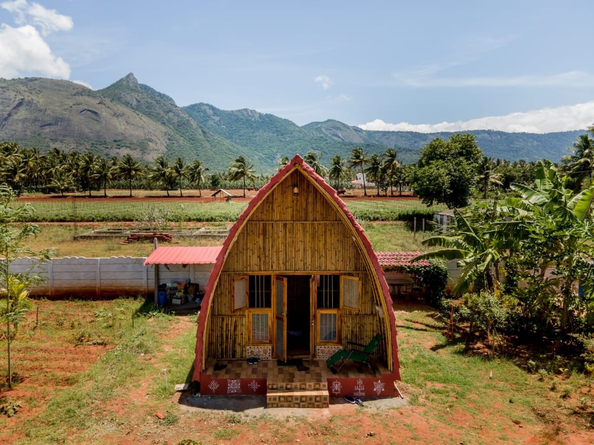 独特竹子小屋别墅