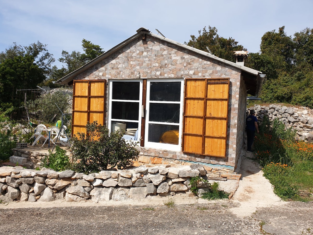 Small and cozy house in solitude of island Veli Iž