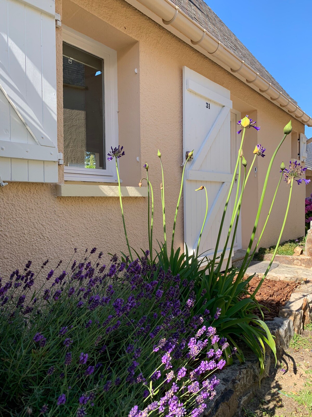 Gîte cocooning au cœur des dunes de carteret