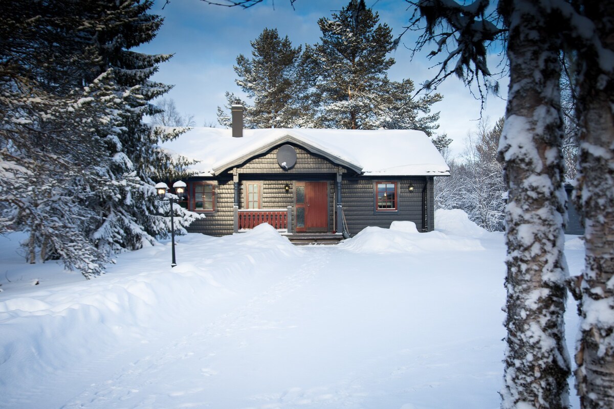 舒适的小屋，带屋顶空间，位于Sälen的Tandådalen中心地带