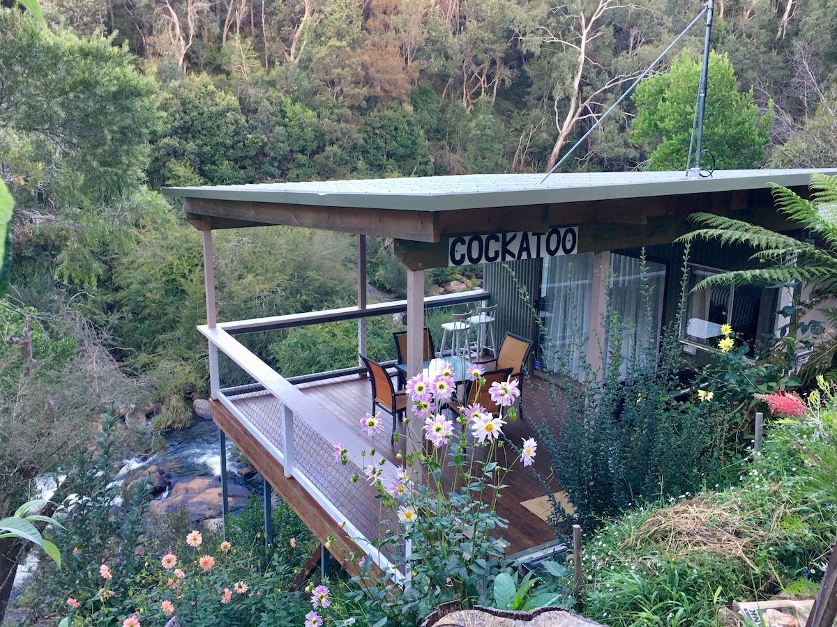 Dorrigo瀑布小屋- Cockatoo Cabin