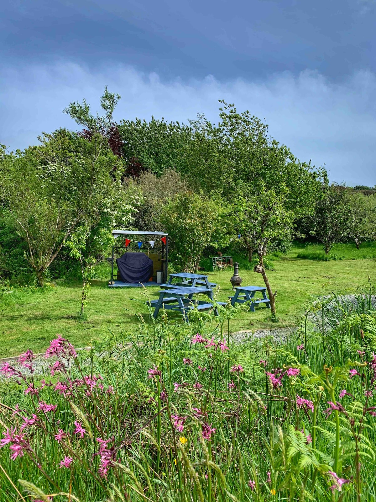 The Orchard Escape in Beautiful Ballydehob