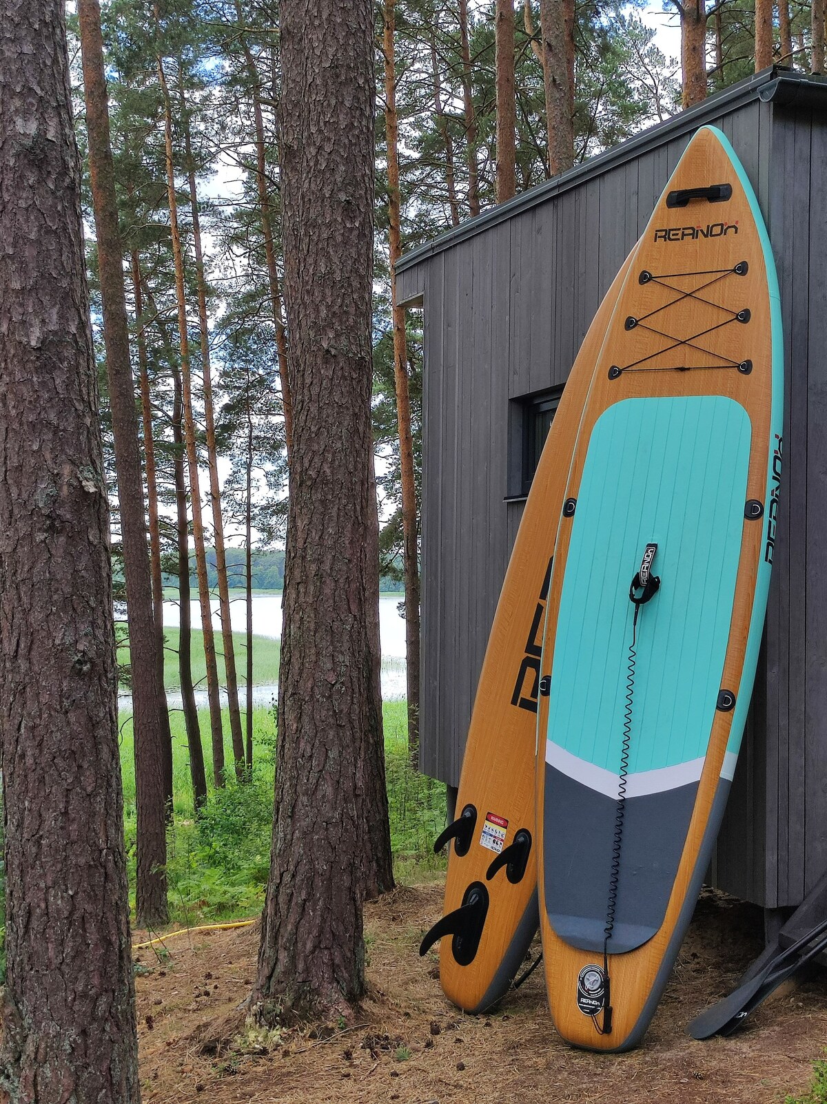 BOSE Acoustic Loft on a lake by Gauja.Club