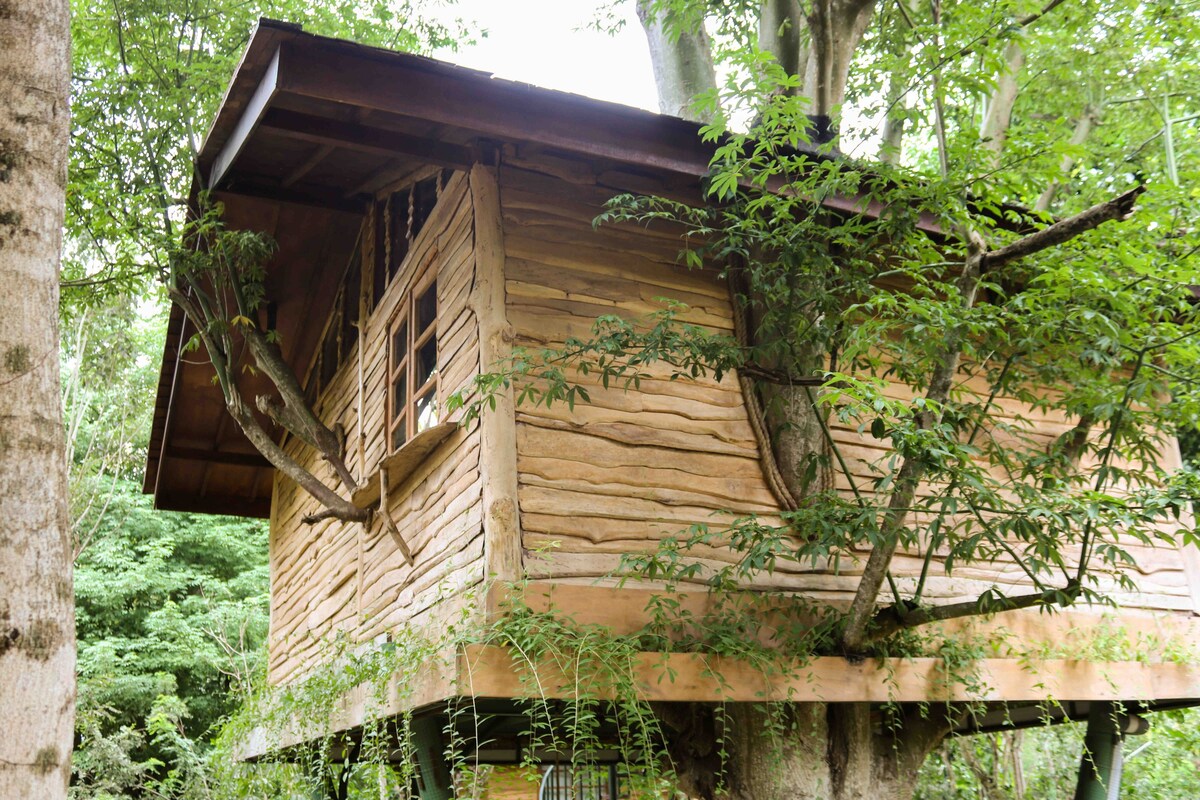 Magical Tree House in Ungasan  #Cinnamon