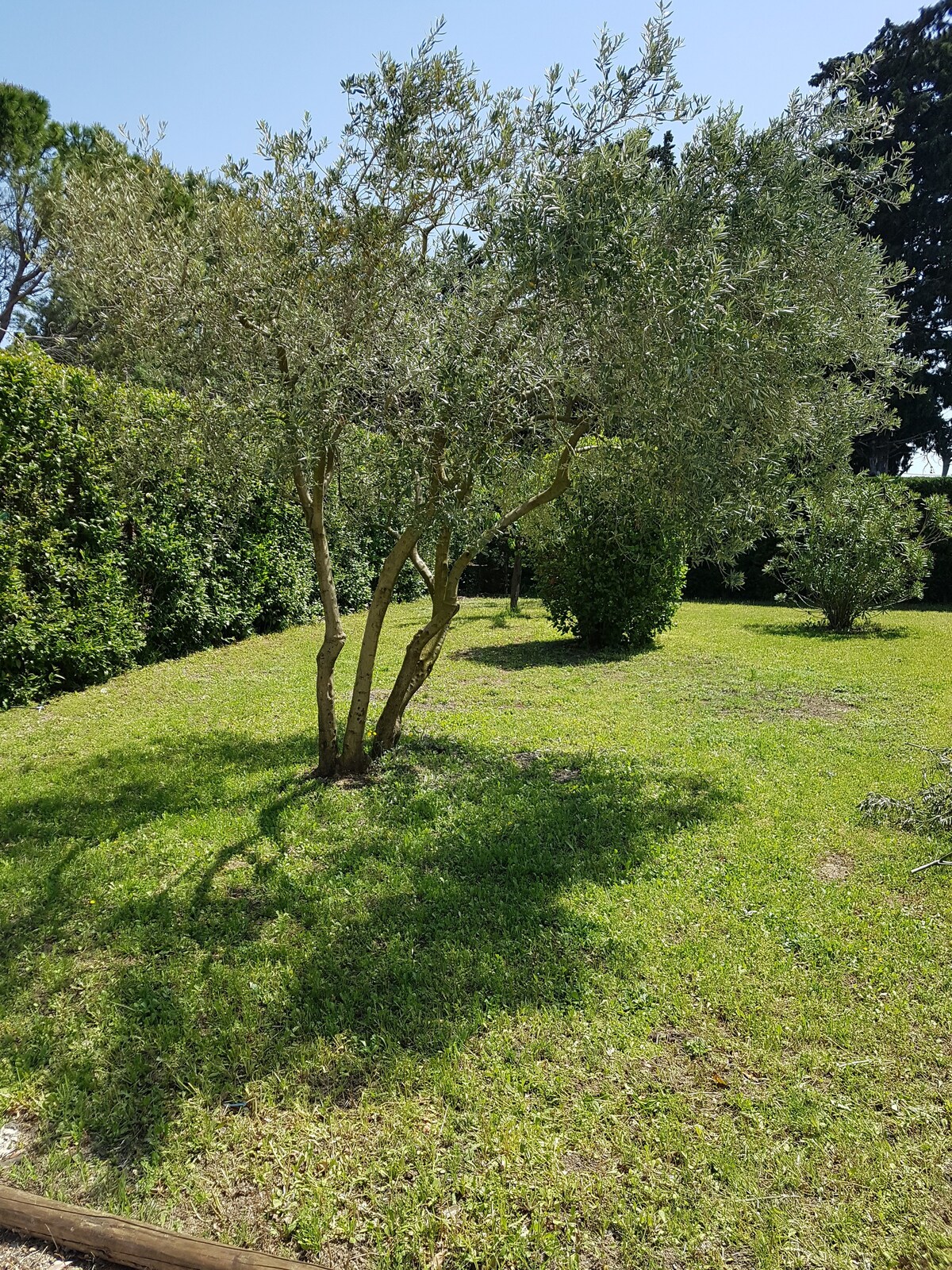 Gîte en Provence "La Madinina"