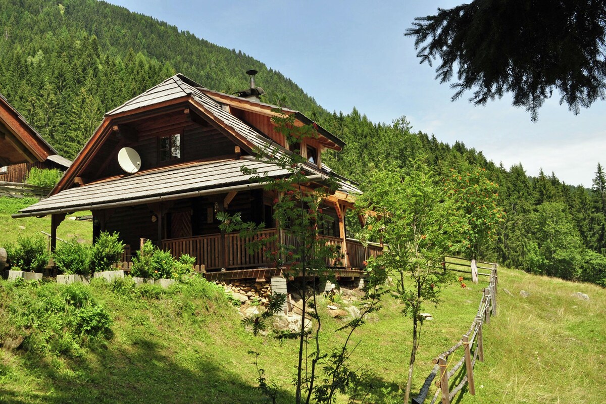 Kolbnitz-Teuchl/Carinthia中的舒适度假木屋