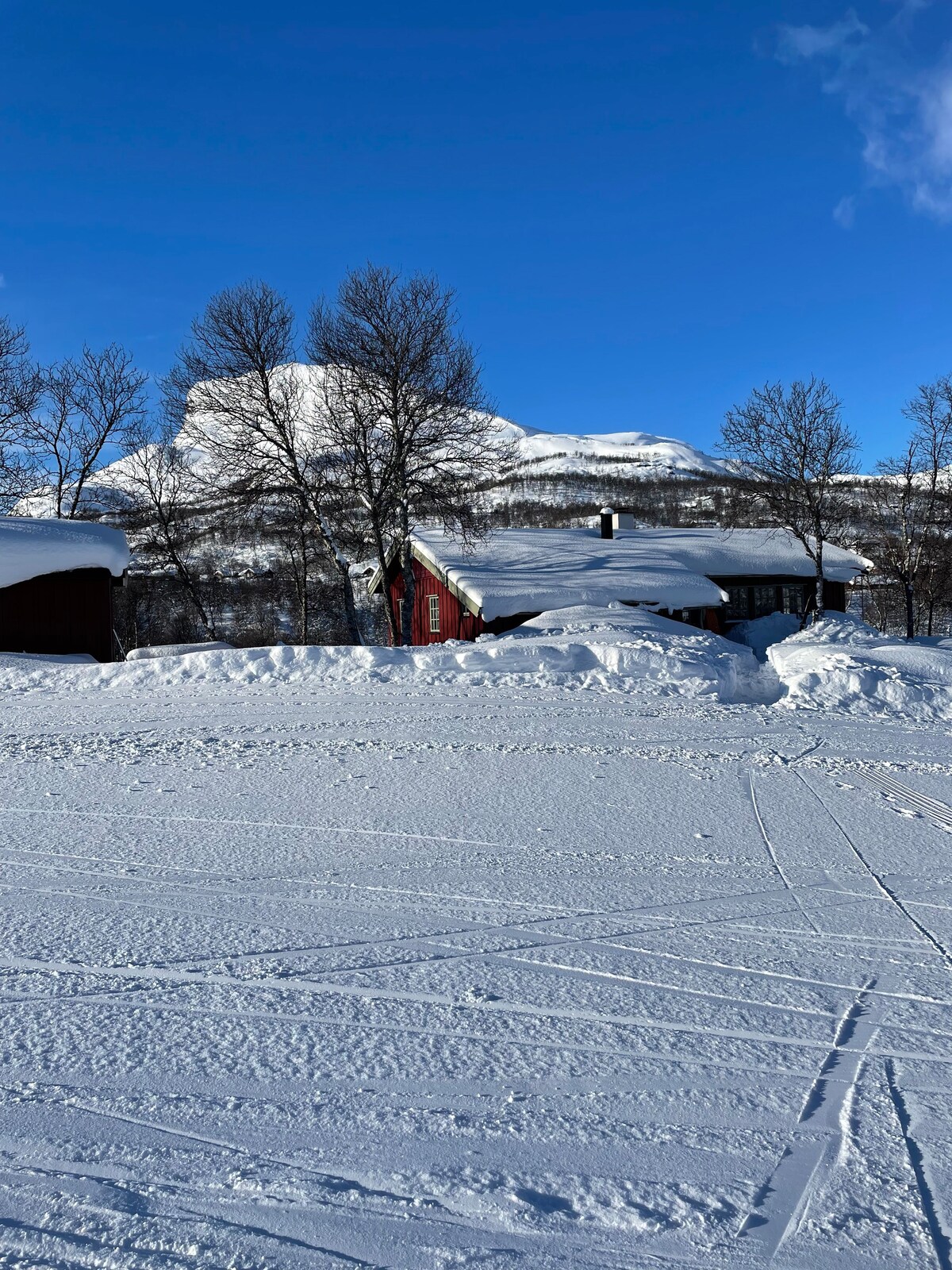 Tyin-Filefjell - Jotunheimen. Ski In-Ski Out.