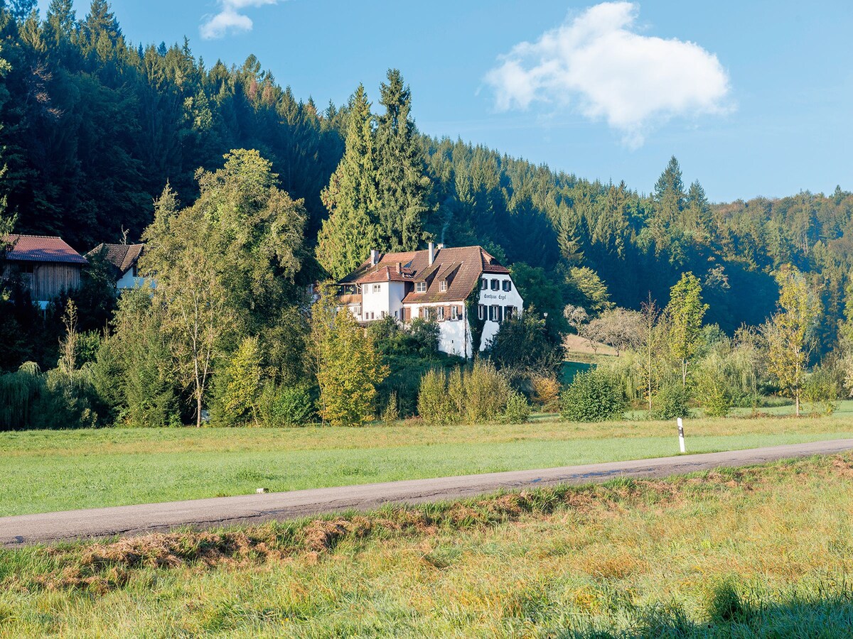 Landgasthaus zum Engel ， （ Freiamt ） ，带淋浴间/厕所的单人房