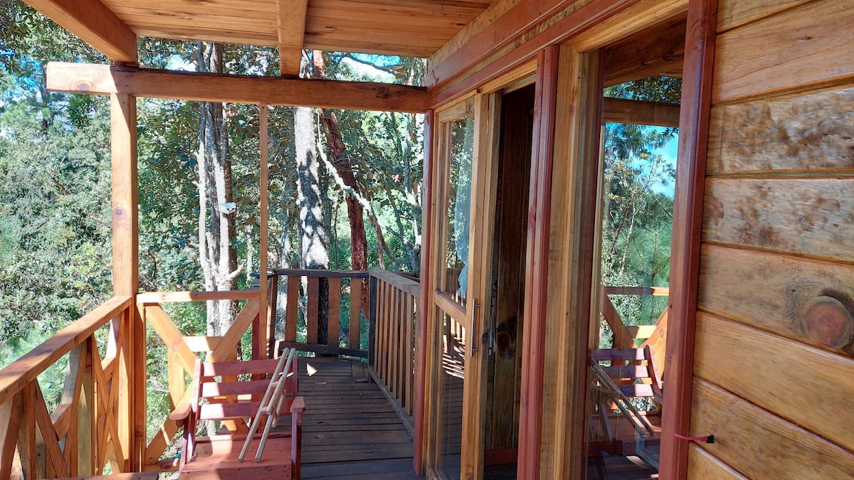「San Jose del Pacifico 3森林中的小木屋」。