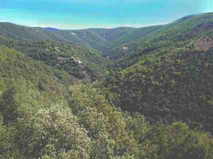 Gîte de charme en Cévennes