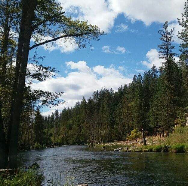 #Trinity Sanctuary   Riverfront Steelhead Cabin