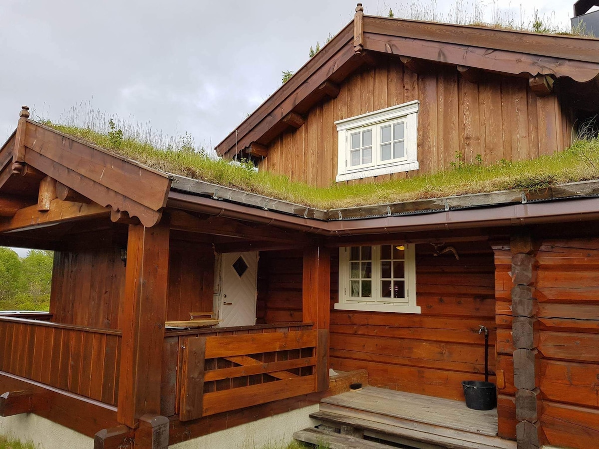 我们在Trollheimen的小木屋