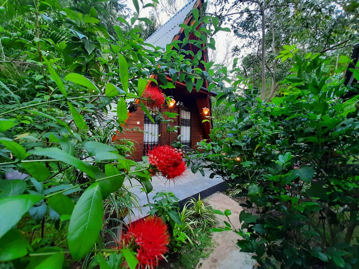 Sigiriya otunna客栈度假木屋家庭房