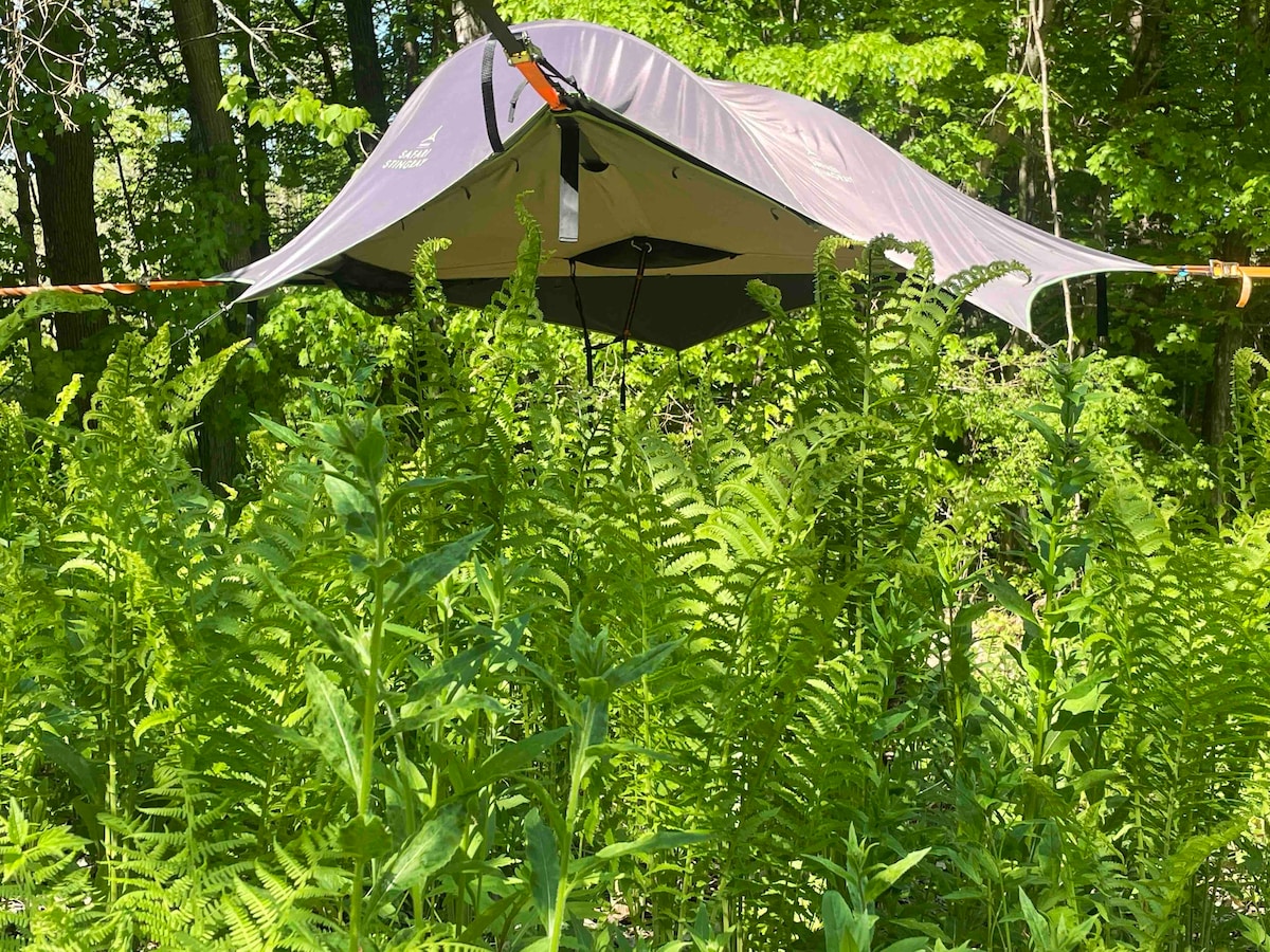 Camp SkyTent ：「Fern Gully」风景如画的露营地