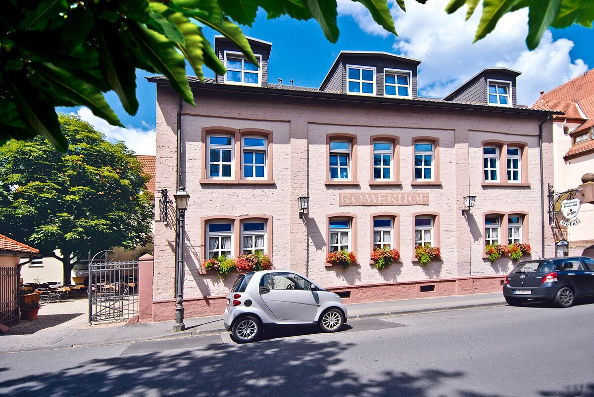 Landgasthaus Hotel Römerhof （ Obernburg/Main ） ，带无线网络的单人房主屋
