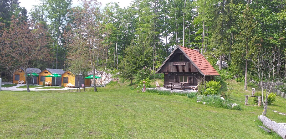 Lovely Wooden House for eight in Idrija