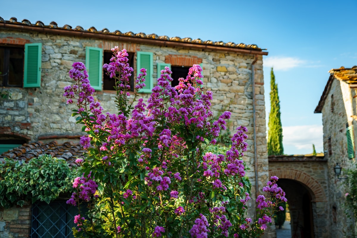 Celle di lecchi Vigneto