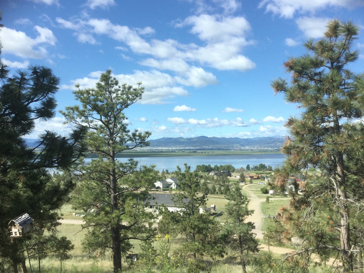 海伦娜湖松（ Lake Helena Pines ）