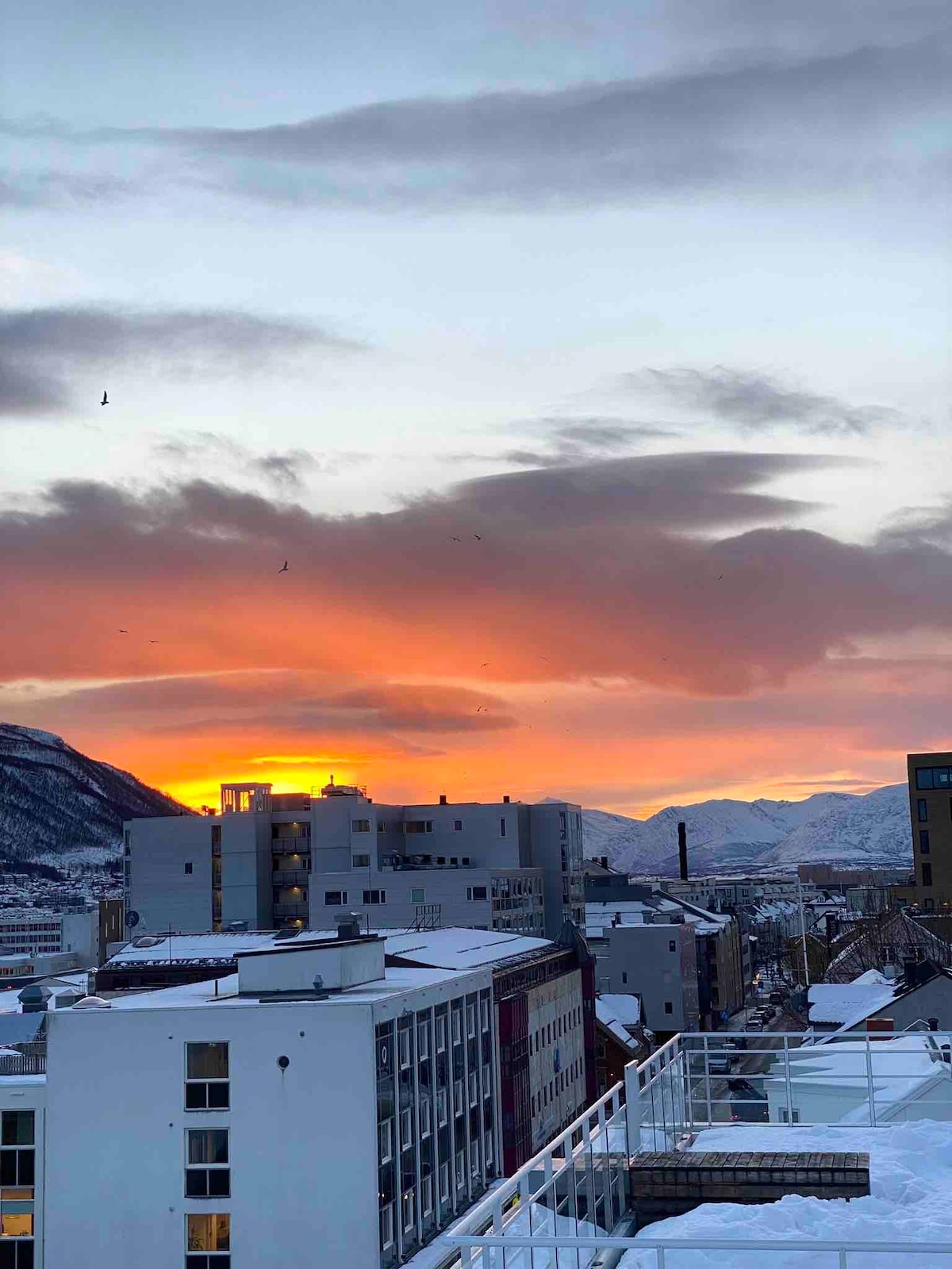 Midt i sentrum med takterrasse