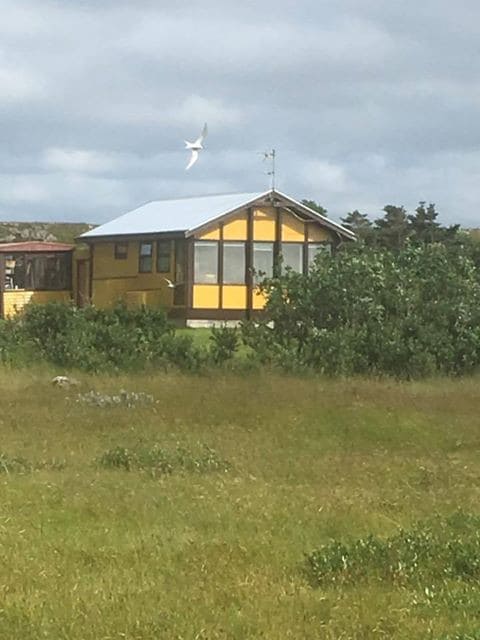 Norðurkot ，黄色北极光之家。