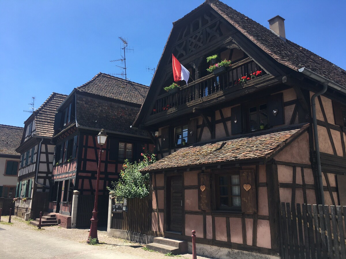 Strasbourg gite familial de caractère