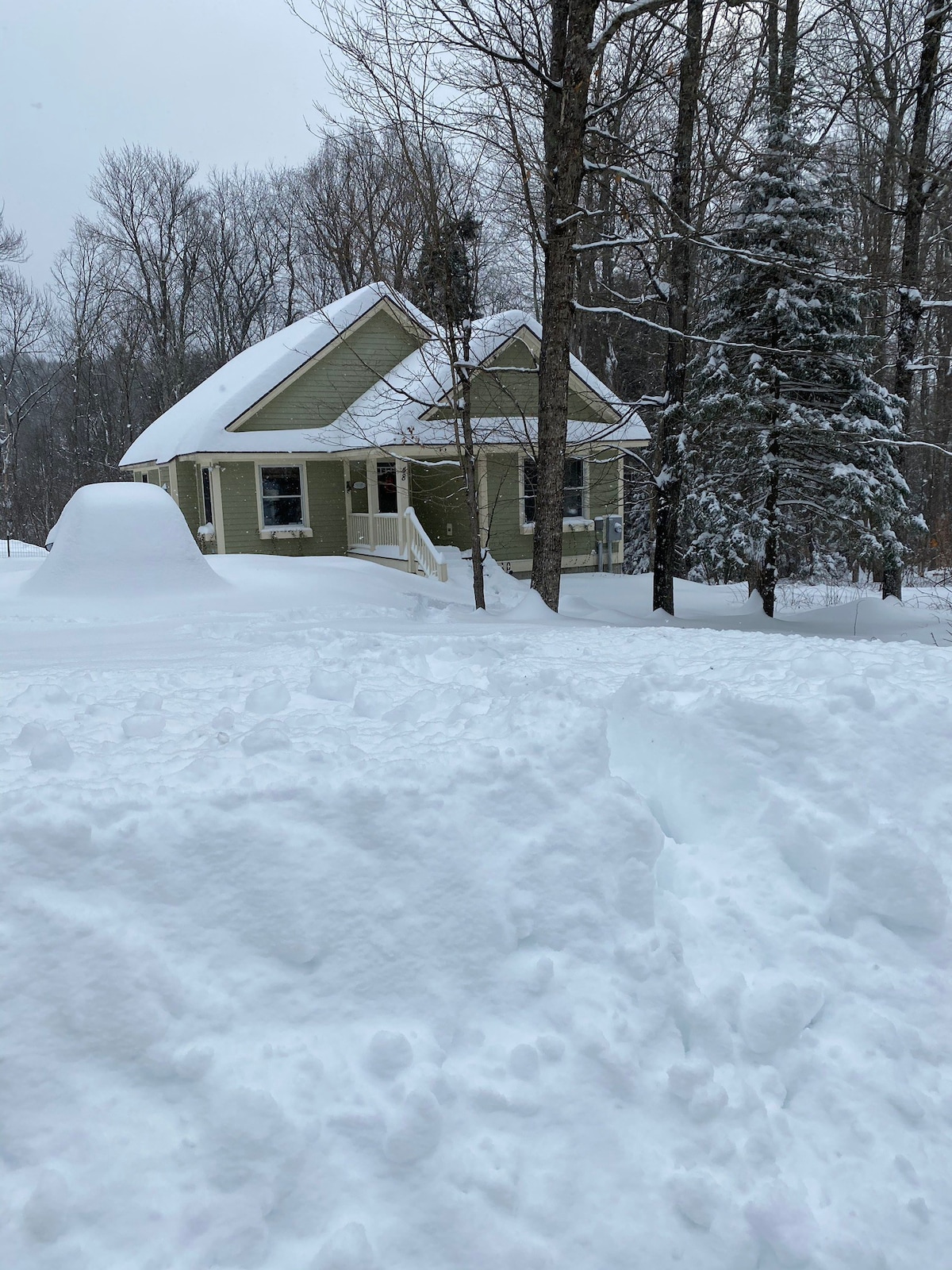 Private home, near Mt. Snow, lake, and downtown